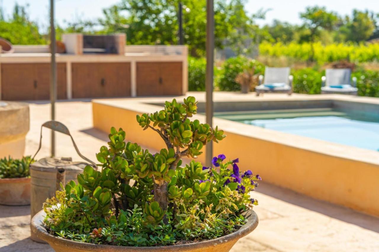 Finca Campestre Es Verger Blue Binissalem Zewnętrze zdjęcie